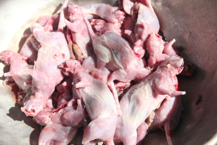 Chuột dừa là đặc sản nổi tiếng Bến Tre.