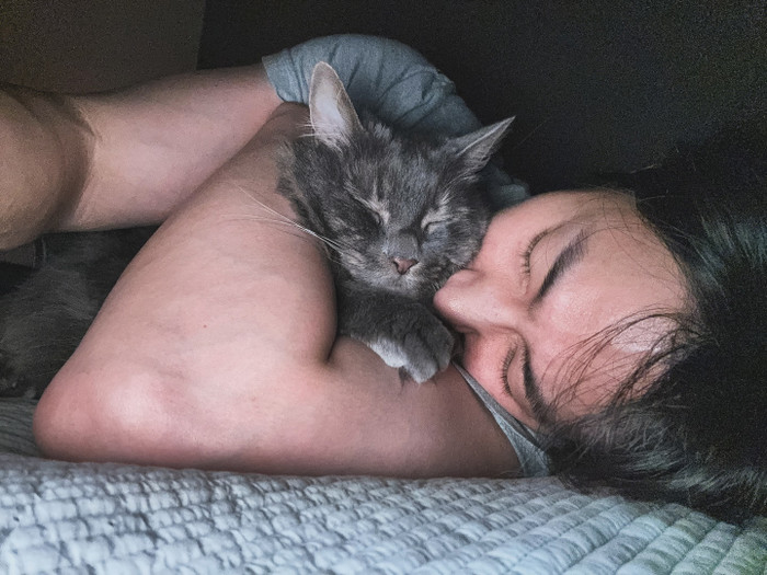 Nam diễn viên Song Jae Rim là người yêu mèo, khi có thời gian ở nhà anh đều chăm sóc, chơi cùng mèo cưng. Ảnh: Instagram jaelim_song