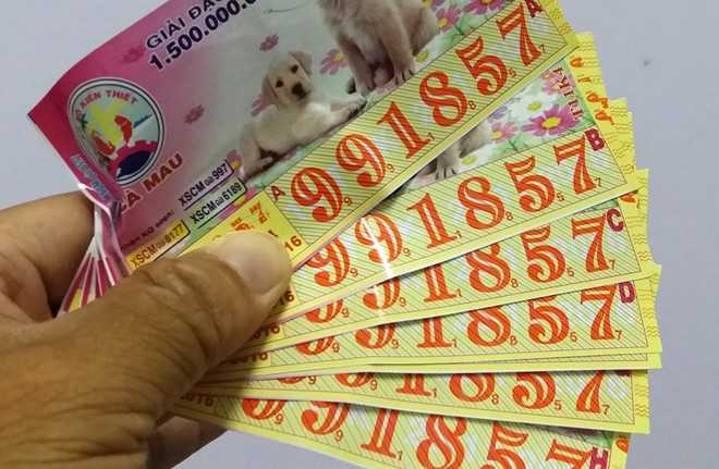 Ông M trúng 8 tờ vé số giải độc đắc.