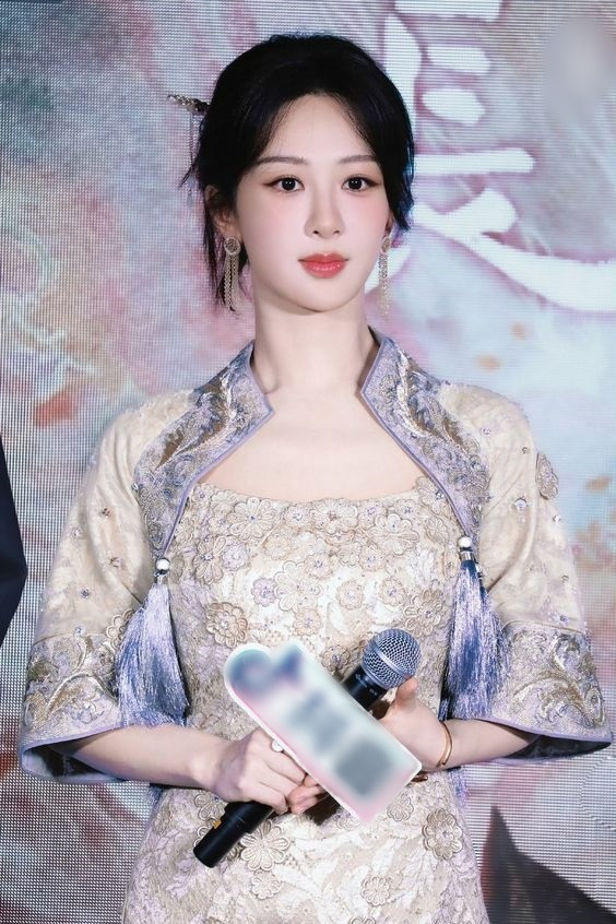 Đây không phải lần đầu tiên Dương Tử bị bôi nhọ, vu oan. 