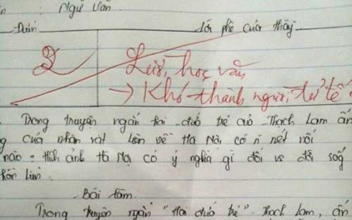 Bài văn chỉ đạt 2 điểm kèm lời phê lạ của thầy giáo gây xôn xao cõi mạng Ảnh 2