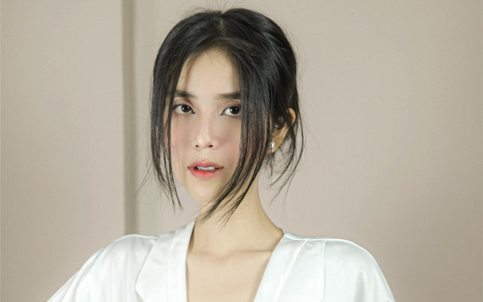 'Cô tiên từ thiện' Nguyễn Đỗ Trúc Phương vừa bị bắt là ai? Ảnh 2