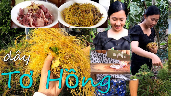 Một YouTuber chế biến món ăn từ dây tơ hồng.