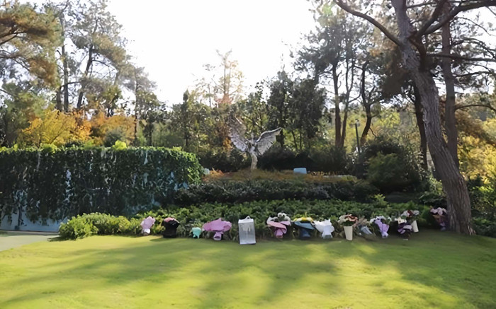 Xót xa mộ của nữ ca sĩ nổi tiếng cỏ mọc um tùm, hoang tàn sau 1 năm qua đời Ảnh 2