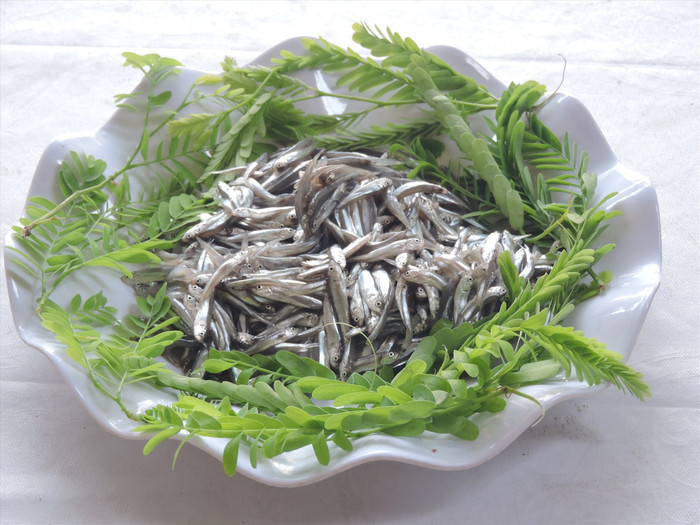 Loại cá này nhỏ nhưng thịt ngọt, thơm...