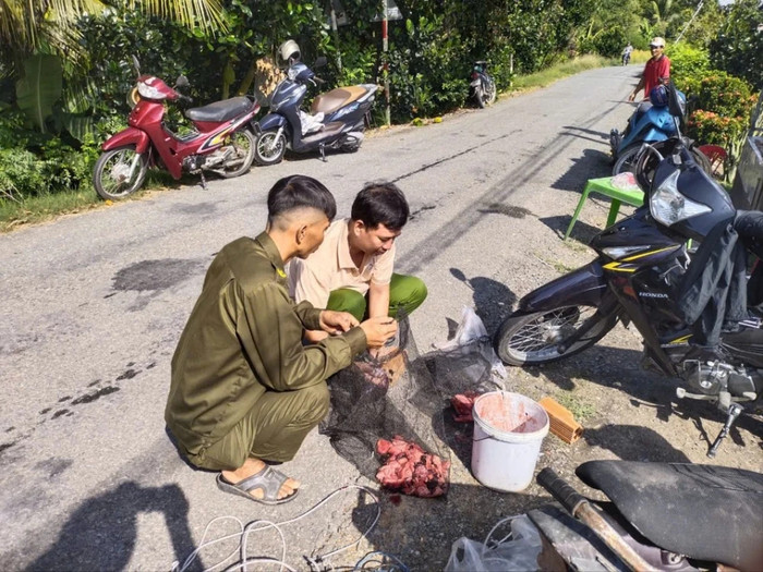 Lực lượng chức năng làm mồi nhử cá sấu xuất hiện. Ảnh: CHÍ TÂM