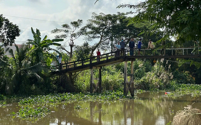 Truy bắt cá sấu nổi trên sông ở Long An Ảnh 2