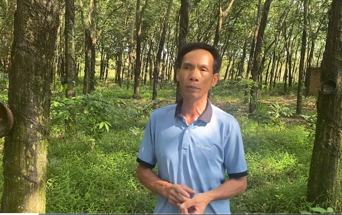 Anh Lâm Văn Giàng trong rừng cây cao su.