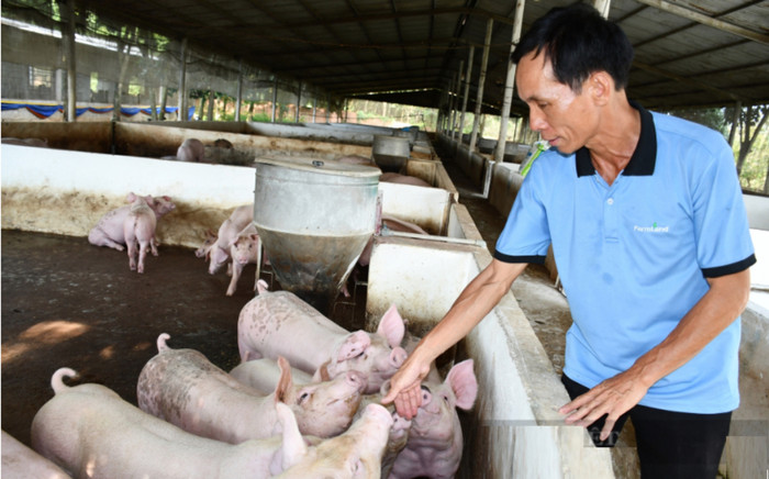 Trở thành tỷ phú nông dân khi trồng loại cây 'đẻ ra vàng' Ảnh 2