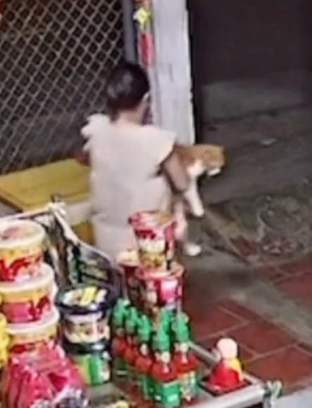 Nhân vật 'Sim' chính là một bé mèo cam dễ thương.