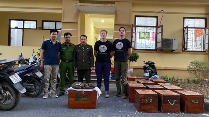 Đội cứu hộ tiếp nhận 11 đã kịp thời chặn đứng vụ buôn lậu động vật hoang dã, cứu thoát loài tê tê nguy cấp.