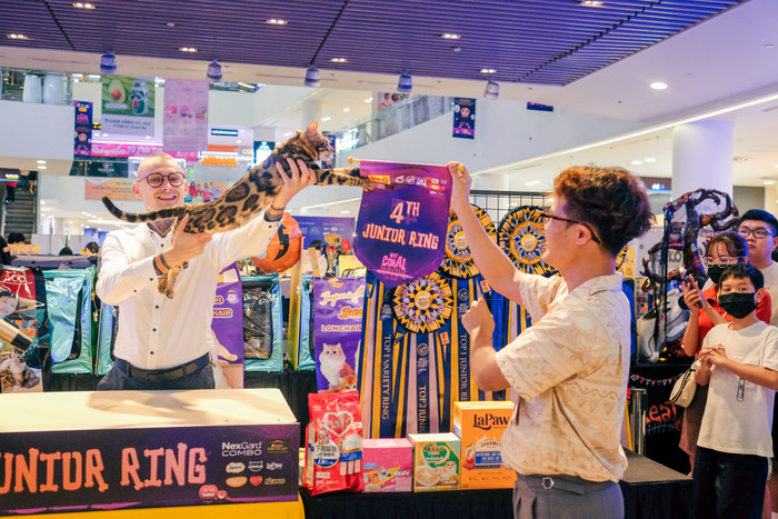 Các thi sinh sẽ trải qua cuộc thi gắt gao.