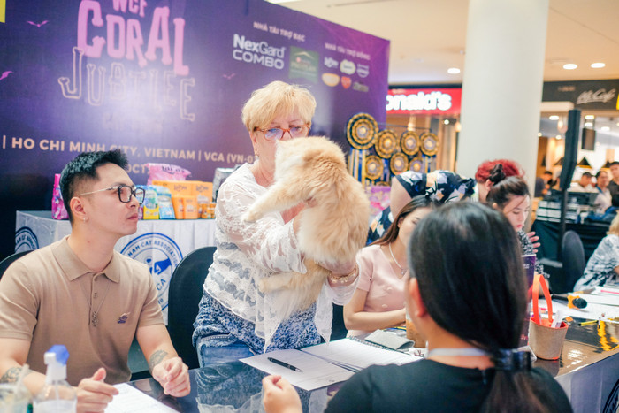 Các giám khảo quốc tế đến Việt Nam để chấm thi.