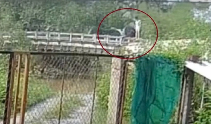 Hình ảnh cuối cùng thiếu niên 14 tuổi nhảy cầu tắm sông cùng bạn, mất mạng thương tâm Ảnh 2