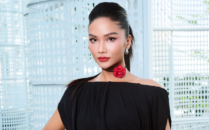 H'Hen Niê thu về 'tài sản' đáng ngưỡng mộ sau nhiều năm làm nghề Ảnh 2