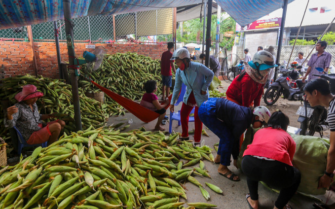 Khu chợ tồn tại 20 năm ở Sài Gòn: Chỉ bán duy nhất 1 mặt hàng nhưng khách nườm nượp Ảnh 2