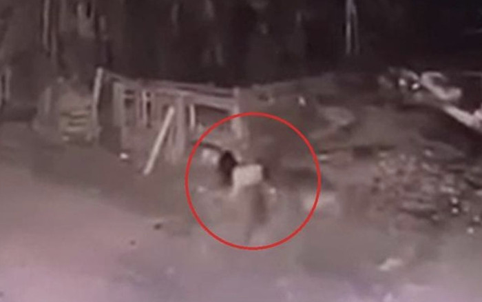 Bé gái 5 tuổi bị 2 con chó becgie tấn công tử vong ở Vĩnh Phúc Ảnh 2