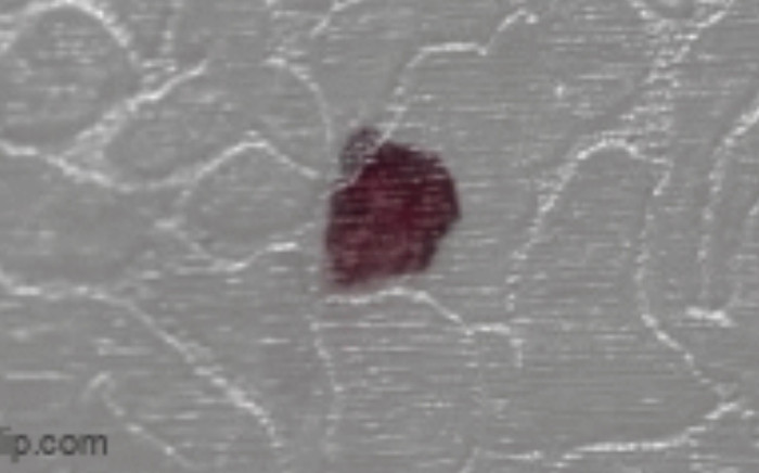 Ngủ dậy phát hiện tường nhà 'chảy máu', chủ nhà tái mặt khi nhìn thấy thứ bên trong Ảnh 2