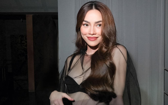 Hồ Ngọc Hà đã sai lầm? Ảnh 2