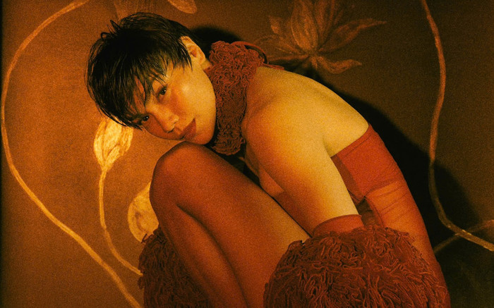 Người trong nghề nói gì về ý kiến: 'Âm nhạc Hồ Ngọc Hà đại trà, không lạ, không chất'? Ảnh 2