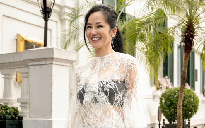 Diva Hồng Nhung gợi cảm với váy ren xuyên thấu, lộ bra táo bạo ở tuổi 54 Ảnh 2