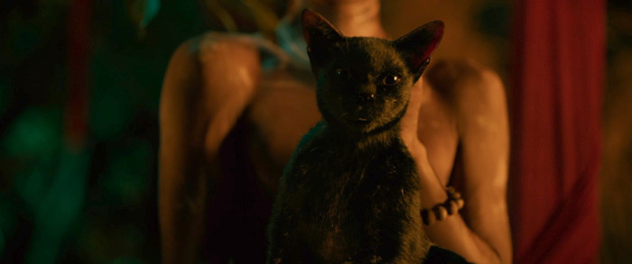 Gia Cường sống dậy sau khi mèo đen nhảy qua xác.