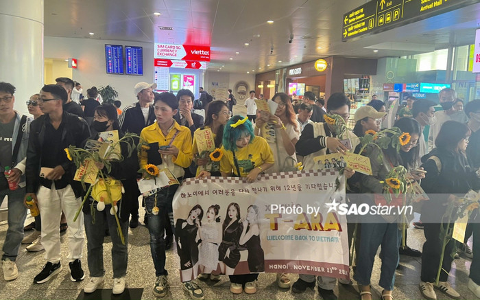 Khán giả xếp hàng dài ở sân bay đón T-ara về Việt Nam Ảnh 2