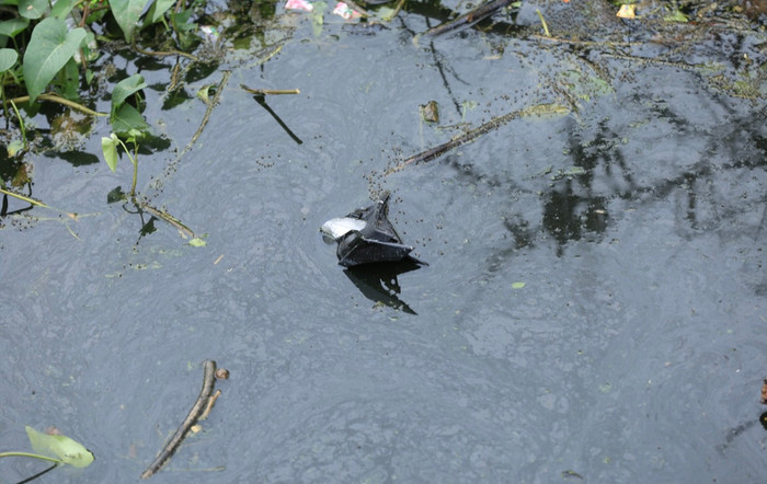 Chiếc dép, bộ phận của xe máy vẫn còn xót lại.