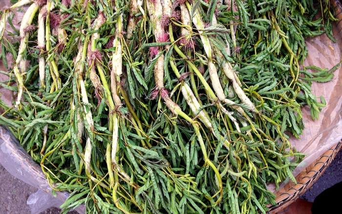 Loại rau xưa mọc đầy dưới ao, nay thành đặc sản được dân phố ưa chuộng vì lạ, 100.000 đồng/kg Ảnh 2