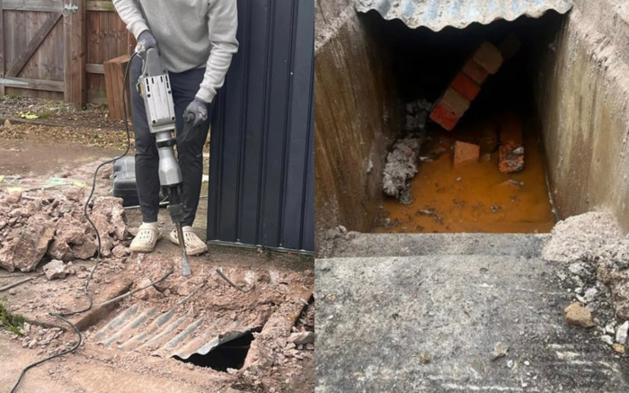 Sinh sống suốt 3 năm, chủ nhà dọn dẹp vườn nhà phát hiện điều bất ngờ Ảnh 2