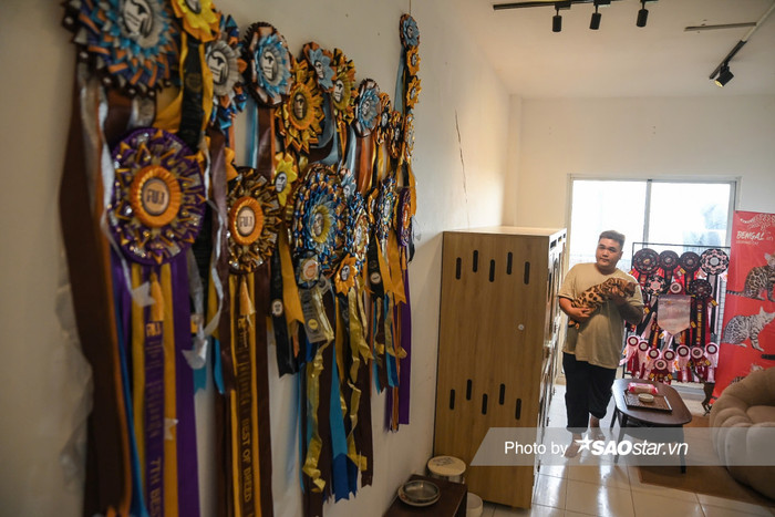 Chàng trai đạt hàng loạt giải thưởng lớn nhỏ trong nước và quốc tế.