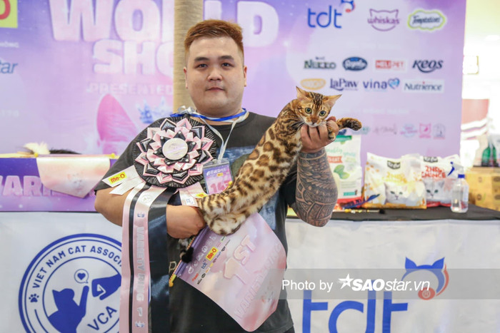 Bé mèo Mdma của Vinh xuất sắc vượt qua 150 bé mèo từ 10 quốc gia khác để đạt Top 1 mèo sinh sản đẹp nhất Việt Nam. 