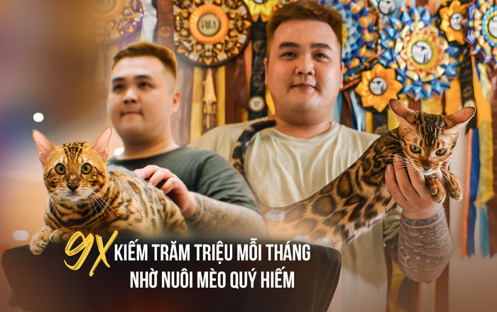 Phương Chí Vinh hiện đang là trại mèo Bengal nổi tiếng nhất nhì TPHCM.