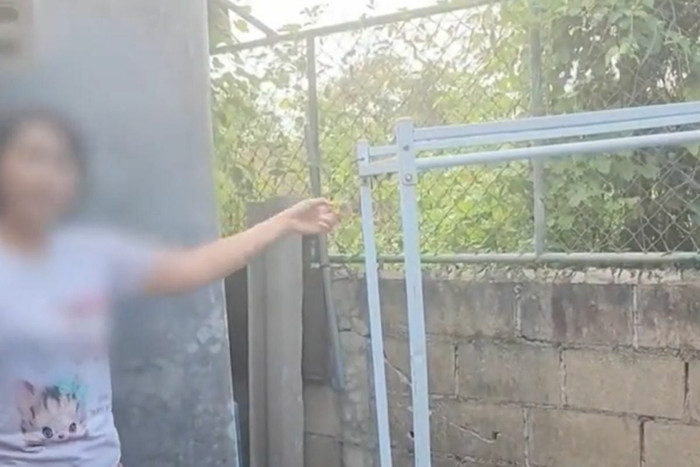 Hàng rào phía sau ngôi nhà mà cặp vợ chồng cho là kẻ trộm đã đi bằng đường này.