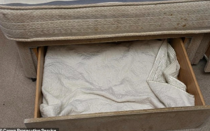 Sinh con rồi giấu trong ngăn kéo suốt 3 năm không ai hay biết, ngoại hình khiến gia đình bất ngờ Ảnh 2