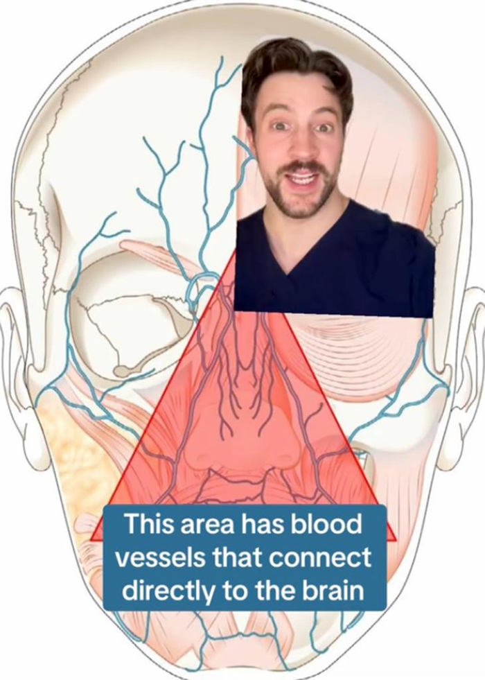 Vùng tam giác tử thần mà bác sĩ Storm cảnh báo không được nặn mụn tại nhà. 
