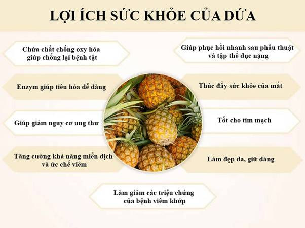 Các enzym trong dứa, được gọi là bromelain, giúp làm chậm quá trình đông máu, tăng sản xuất hồng cầu và bạch cầu, từ đó cải thiện lưu thông máu. Bromelain cũng có đặc tính chống viêm, được sử dụng để giảm đau, giảm sưng tấy do bỏng, đau khớp và các bệnh viêm nhiễm khác.