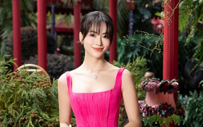 Hoa hậu Vbiz quyết định hiến tạng trước tuổi 30 Ảnh 2