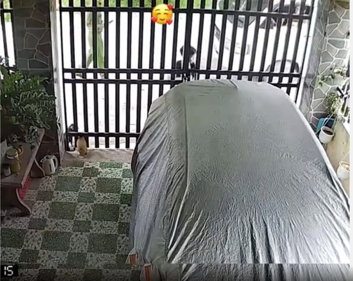 Mẹ xem camera ở nhà thấy con trai đi học về cùng đồng chí công an.