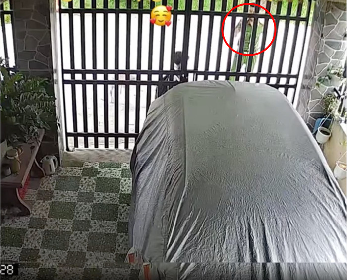 Đồng chí công an đợi bé vào nhà, chụp ảnh xác nhận.