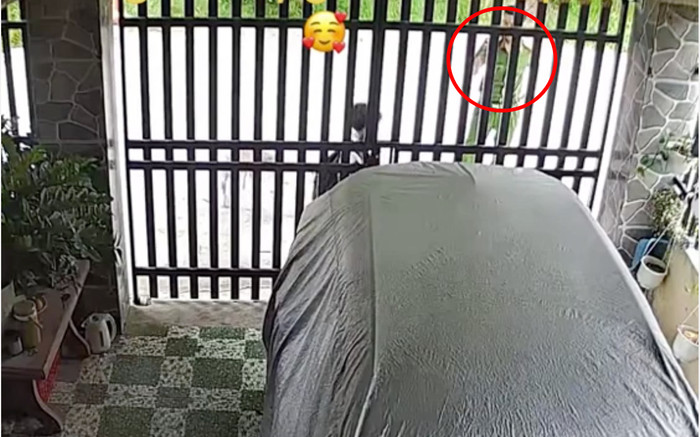 Xem camera ở nhà, người mẹ giật mình khi thấy con trai đi học về cùng 'người lạ' Ảnh 2