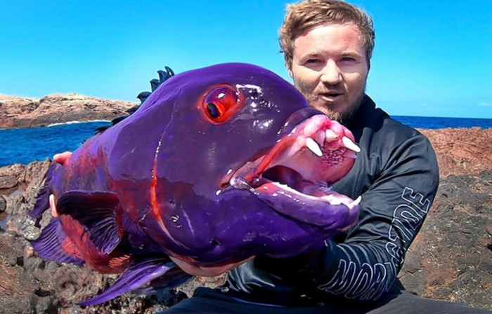 Người đàn ông câu được con cá mắt đỏ kỳ lạ, cả làng đổ xô đến xem, hóa ra loài quý hiếm Ảnh 1