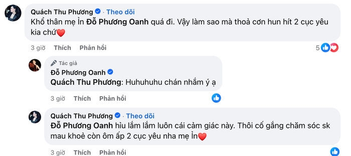 'Mẹ chồng màn ảnh' Quách Thu Phương gửi lời động viên đến Phương Oanh. (Ảnh: Chụp màn hình FBNV)