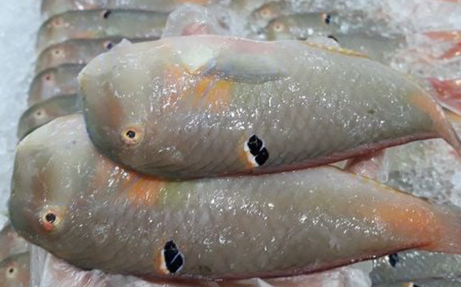 Loại cá xưa đầy ít ai biết, giờ thành đặc sản được săn lùng vì ngon, 180.000 đồng/kg Ảnh 2