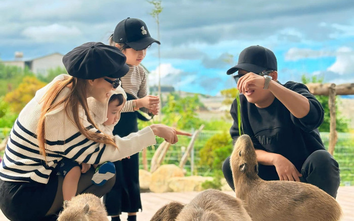 Trường Giang dẫn vợ con đi tham quan, khung hình gia đình 4 người gây sốt mạng Ảnh 2