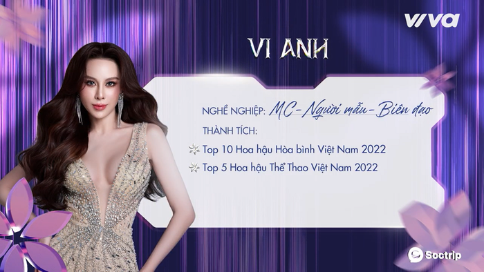 Thành tích ấn tượng của Chu Lê Vi Anh.