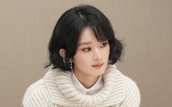 Triệu Lệ Dĩnh dính nghi vấn đóng phim đạo nhái Ảnh 2