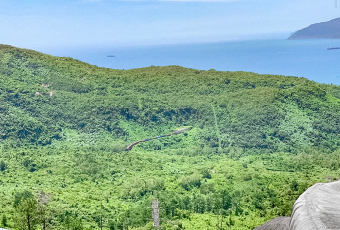 Con 'rắn hổ mây' khổng lồ nổi tiếng khắp cõi mạng Việt Nam khiến cả thế giới tò mò Ảnh 2