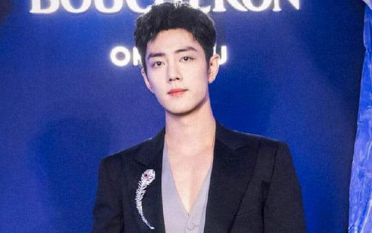 Tiêu Chiến khiến fan lo lắng vì sự nghiệp bế tắc Ảnh 2