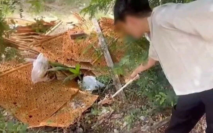 Mùi hôi thối bốc lên khắp huyện, người dân đi kiểm tra thì thấy cảnh tượng gây bức xúc Ảnh 2